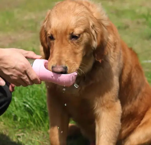 Garrafa de Água Portátil 2 em 1 para Cães